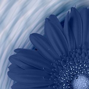 Meet your Posher, Kathleen